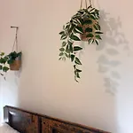 Capitolium Ad Bed & Breakfast Brescia